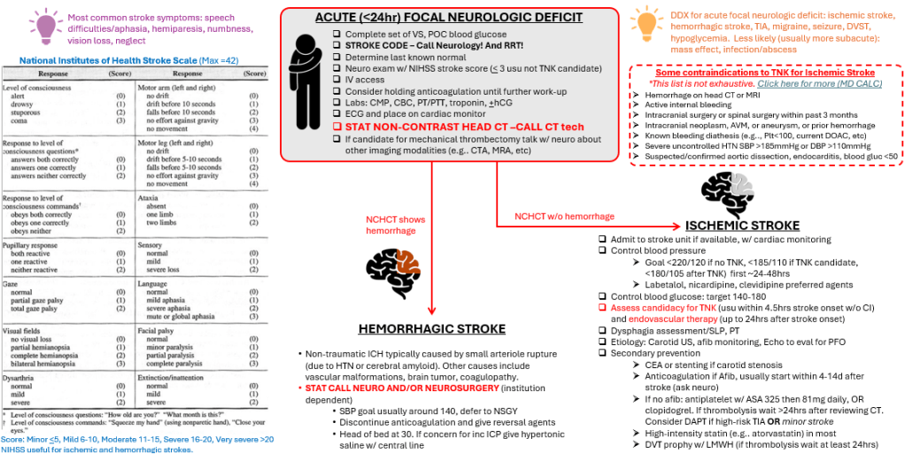 Stroke Pathway
